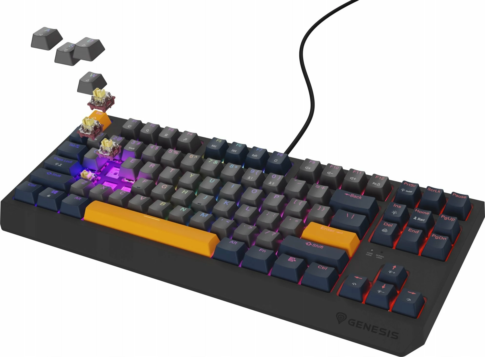 Tastierë mekanike gaming GENESIS Thor 230 TKL NKG-2164, Outemu Panda, Hot Swap, RGB, USB me kabllo, US layout, aksente blu