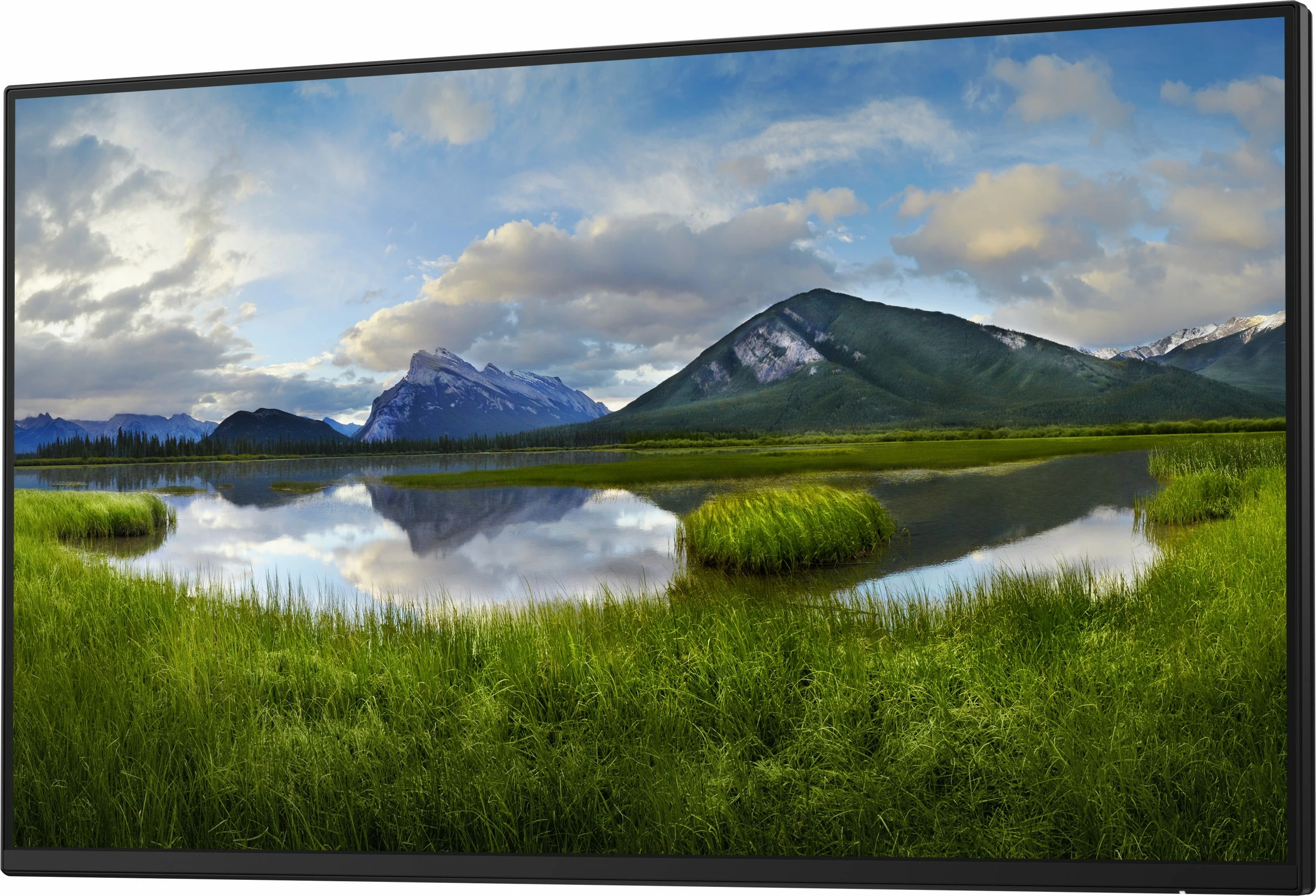 Monitor DELL P2425HE_WOST 24 inch Full HD LCD, i zi