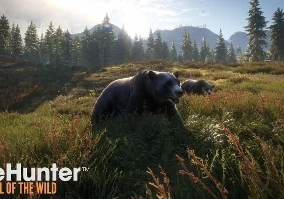 theHunter: Call of the Wild - New England Veteran Cosmetic Pack DLC EN Global