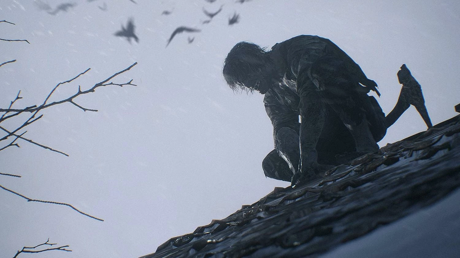 Resident Evil: Village Disk Version PS5