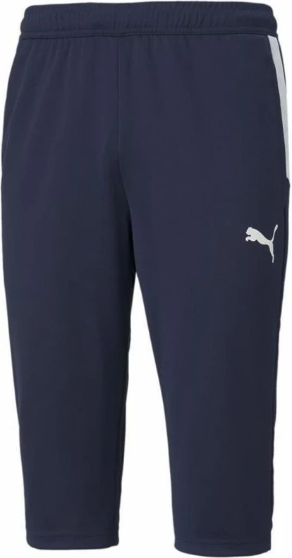 Pantallona sportive për meshkuj Puma, blu marine