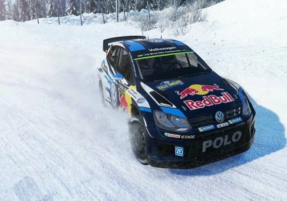 WRC 5 EN Global