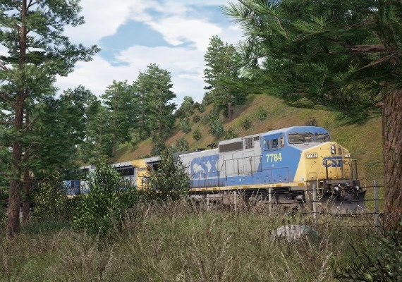 Train Sim World 2 - CSX C40-8W Loco DLC EN/DE/FR/IT/PL/RU/ZH/ES Global