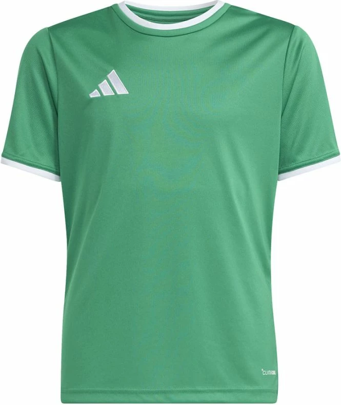 Maicë futbolli për fëmijë adidas Entrada 26 JZ2528, e gjelbër