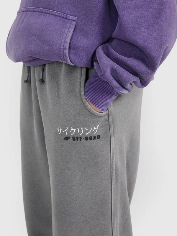 Pantallona sportive djem, 4F, gri