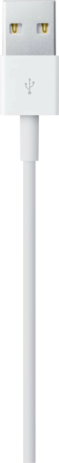 Apple Lightning cable - Lightning / USB - 2 m