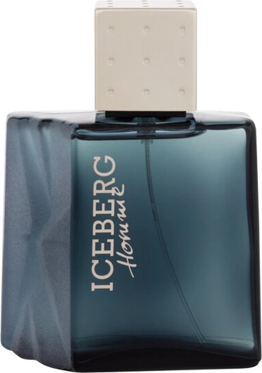 Eau de Toilette Iceberg Homme, 100 ml