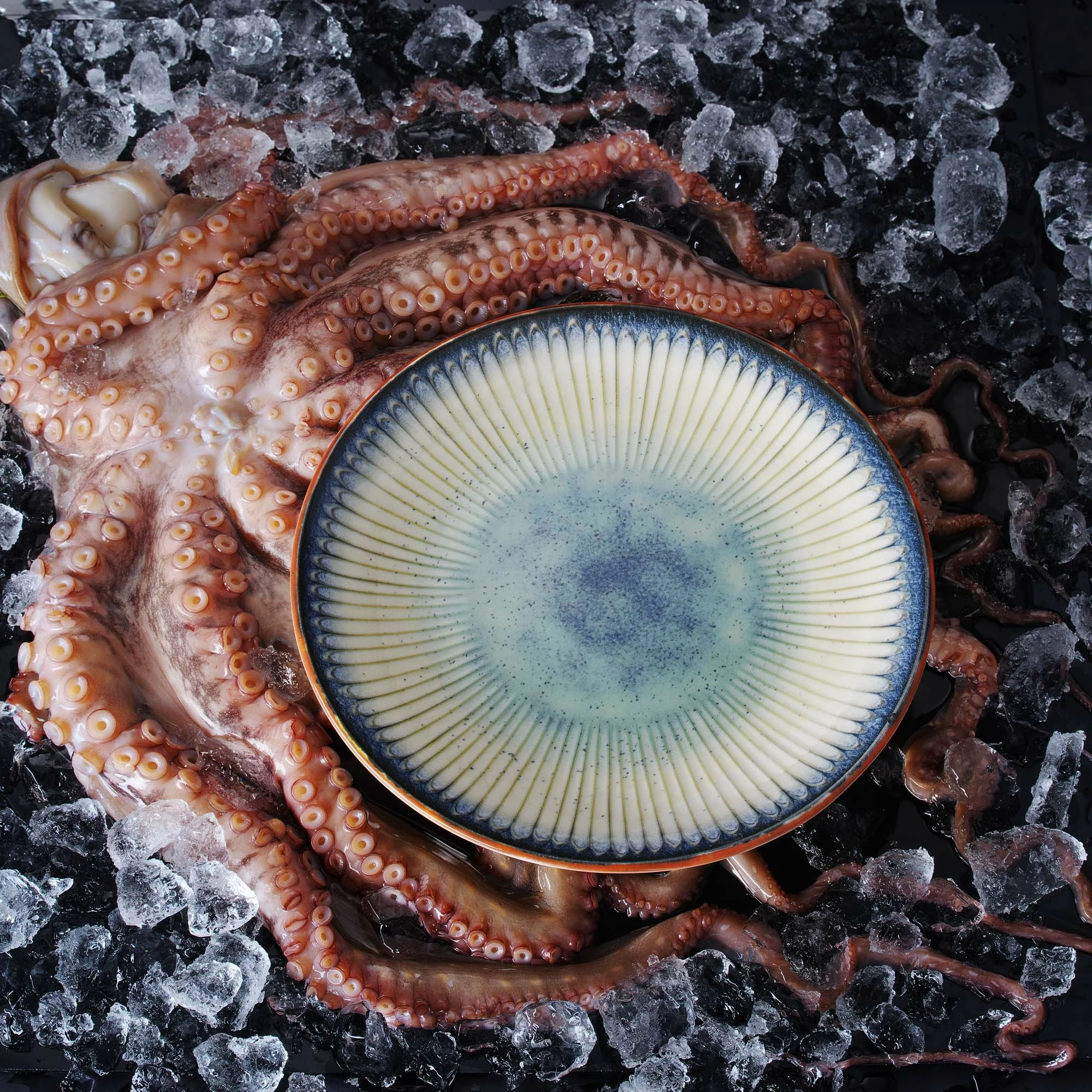 Pjatë e sheshtë Fine Dine Galaxy 270 mm, blu, set 6 copë