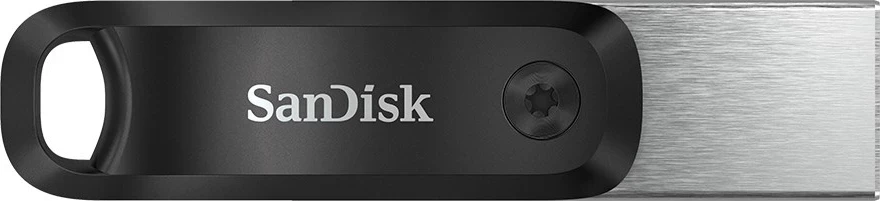 USB Flash SanDisk 256GB, Gri dhe Argjendtë