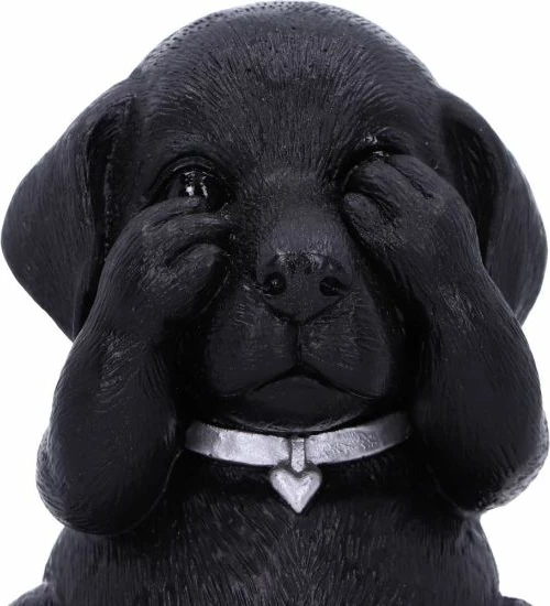 Figurinë dekorative NEMESIS NOW Three Wise Labradors 8.5 cm, resin, e pikturuar me dorë, set 3 copë, e zezë