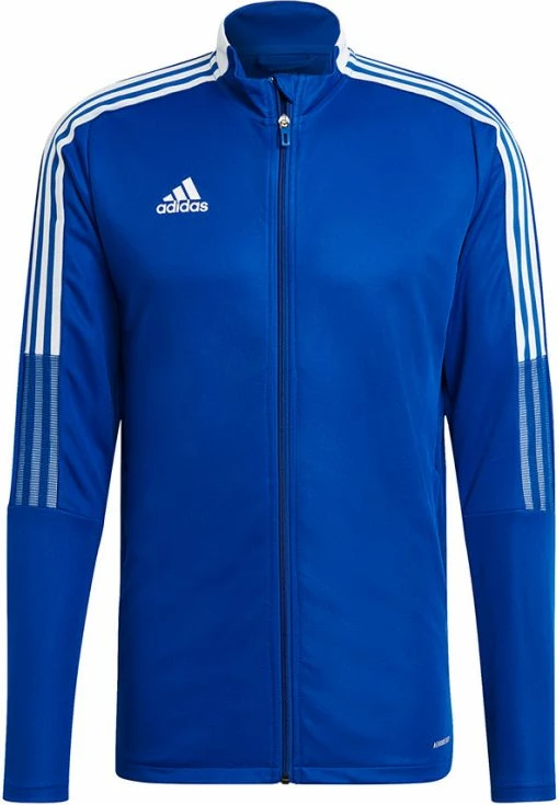 Duks adidas për meshkuj, blu [Madhësia: S]