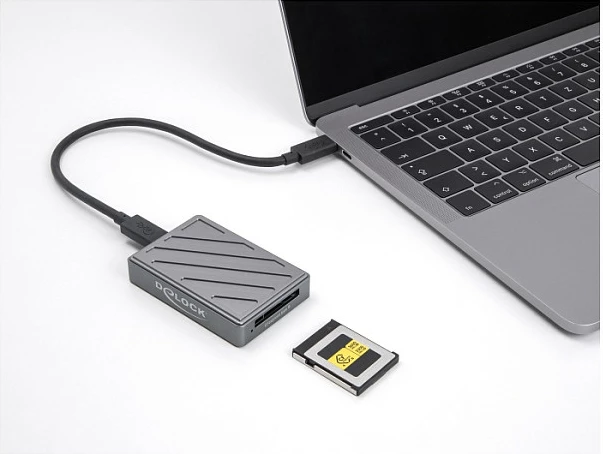 Card reader DeLOCK USB4 Type-C për CFexpress 2.0 Type B, 40 Gbps, gri