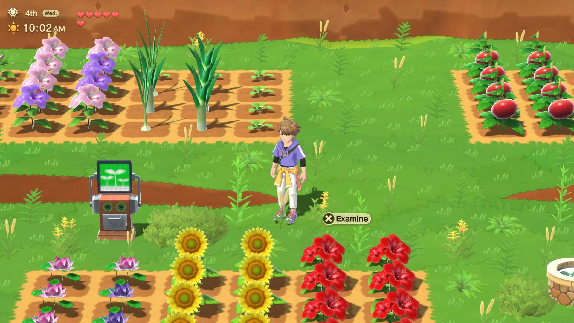 Lojë PS5 Numskull Games Harvest Moon: Home Sweet Home Special Edition (PEGI 7)