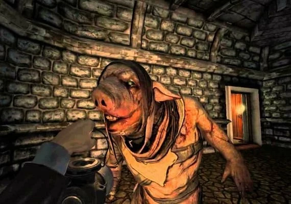 Amnesia - Collection Global