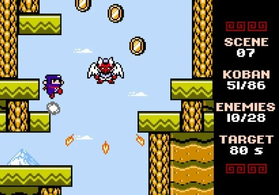 Ninja Senki DX EN/FR Global
