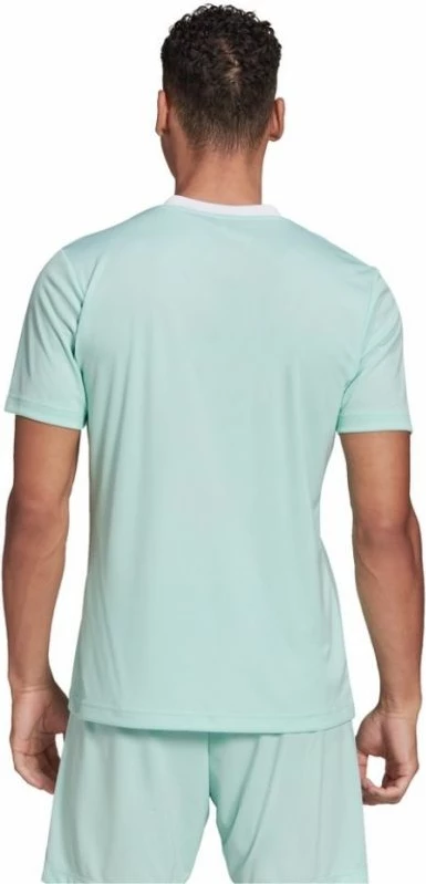 Maicë adidas për meshkuj, e gjelbër [Madhësia: XXL]
