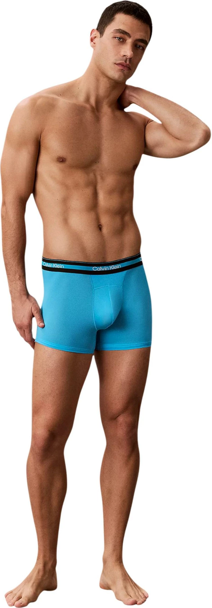 Të brendshme për meshkuj Calvin Klein Underwear LV00NB4536, gri-blu [Madhësia: L]