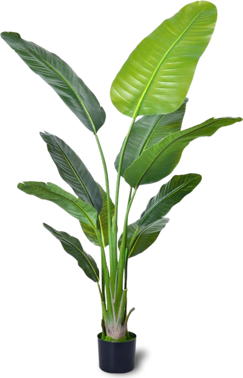 Bimë artificiale Travellers‘ Palm, 220 cm