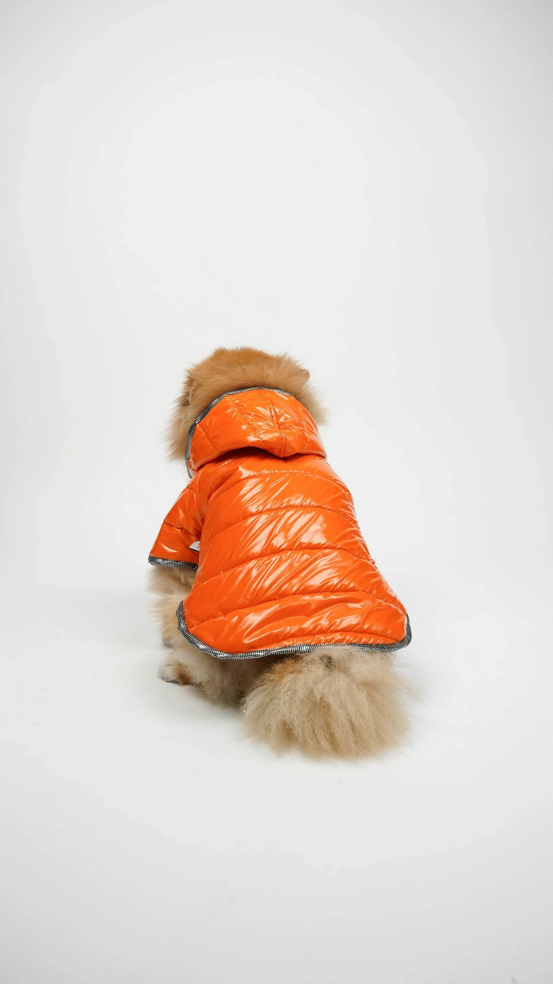 Hoodie për qen, Moncler, ngjyrë portokalli, Paws & Whiskers