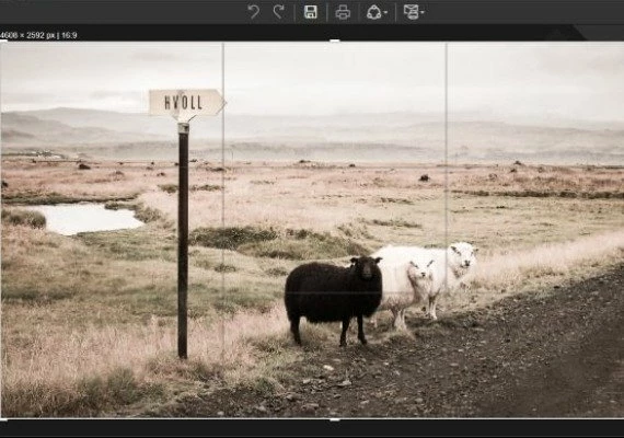 InPixio Photo Clip 8 Professional for Win EN Global