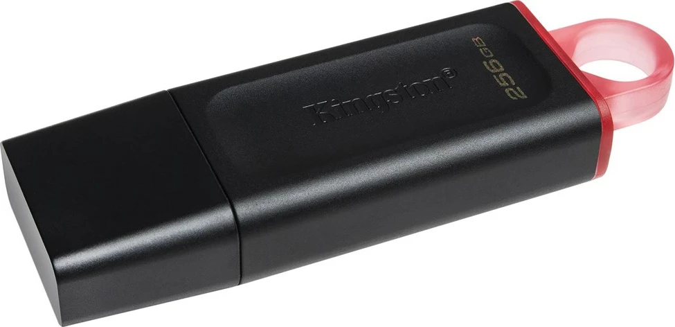 USB Kingston, Exodia, 256 GB, e zezë