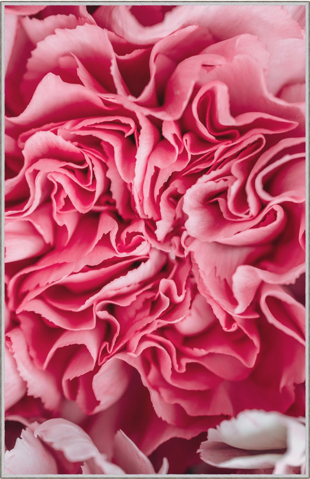 Qilim për korridor, shumëngjyrësh, 100x200cm, Conceptum Hypnose, WOOKECE085