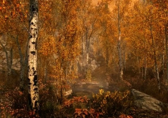 The Elder Scrolls V: Skyrim Anniversary Edition Global