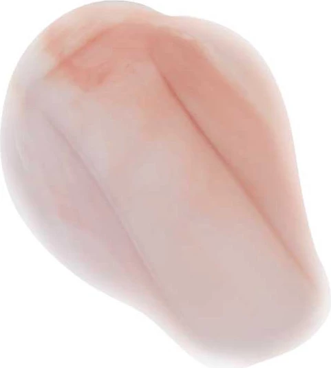 Revolution Ceramide Primer