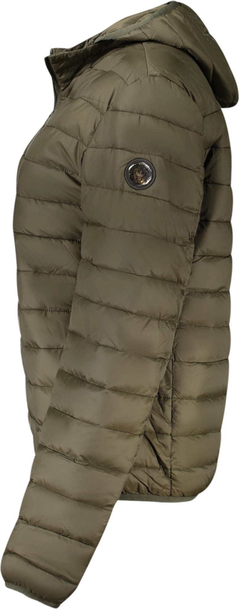 Jakne për meshkuj CAVALLI CLASS, e gjelbër