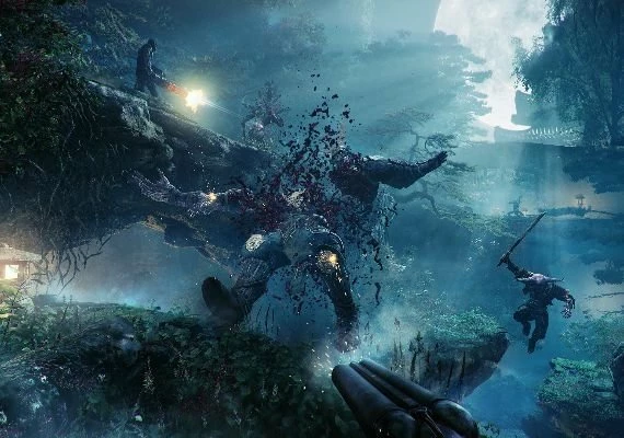 Shadow Warrior 2 EN/DE/FR/PL/PT/RU/ZH/ES Global