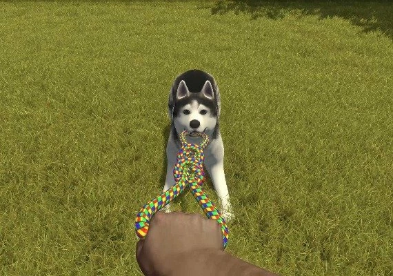 House Flipper: Pets DLC Global