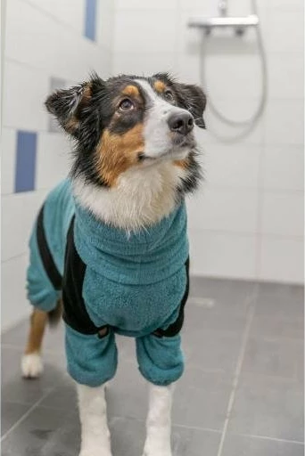 Rrobë banjoje për qen Trixie, terry 100% pambuk, M (46 cm), mbyllje Velcro, petrol