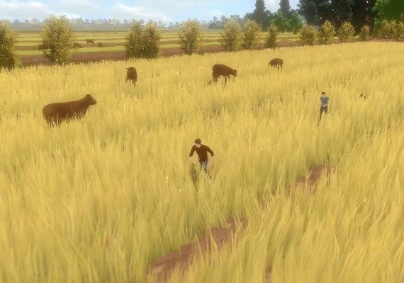 Forgotten Fields EN Global