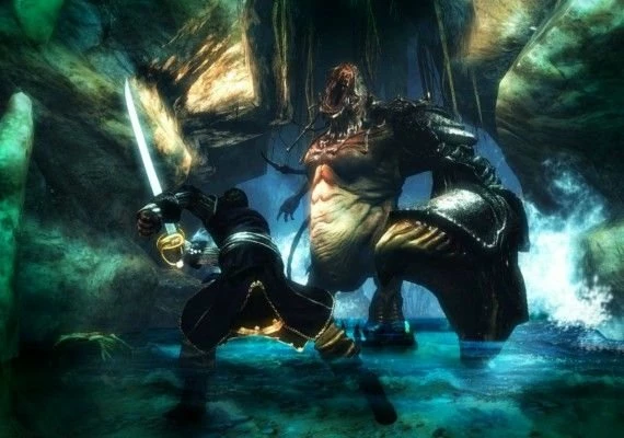 Risen 2: Dark Waters EN/DE/FR/IT/PL/CS/RU/ES Global