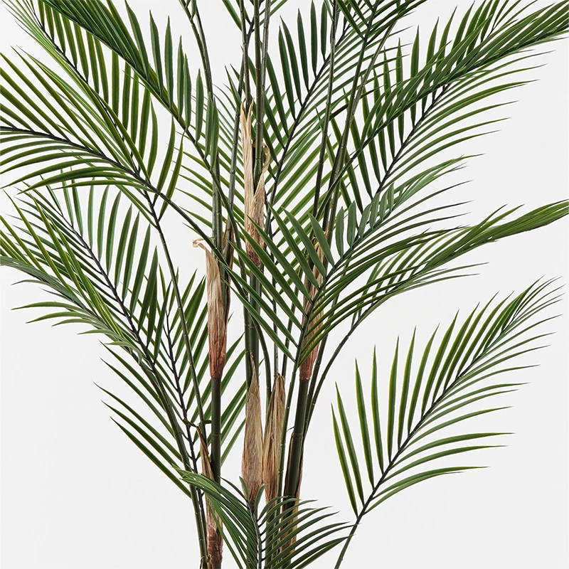 Bimë dekorative Kwai në vazo, ngjyrë e gjelbër, 92x150cm