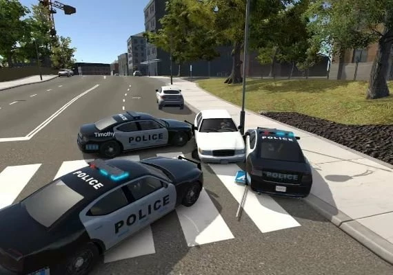 Flashing Lights: Police Fire EMS EN/DE/JA/RU/ZH Global