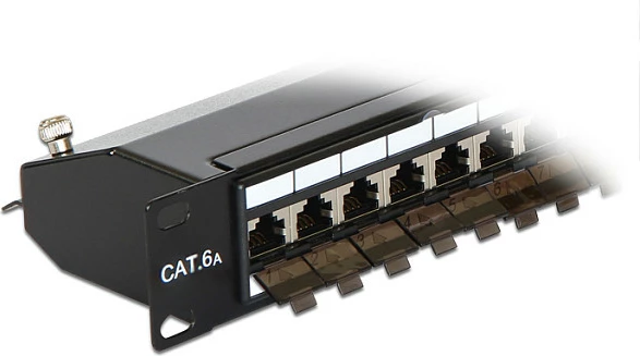 Patchpanel DeLOCK 19" 24-Port Cat6A, 1U, RJ-45, i zi