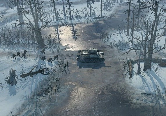 Company of Heroes 2 Collector's Edition EN/DE/FR/IT/PL/CS/RU/ES Global