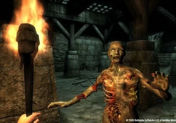 The Elder Scrolls IV: Oblivion GOTY Edition EN/DE/FR/IT/ES Global
