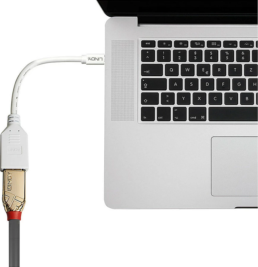 Kabllo adapter Mini DisplayPort në DisplayPort LINDY, 0.15 m, e bardhë