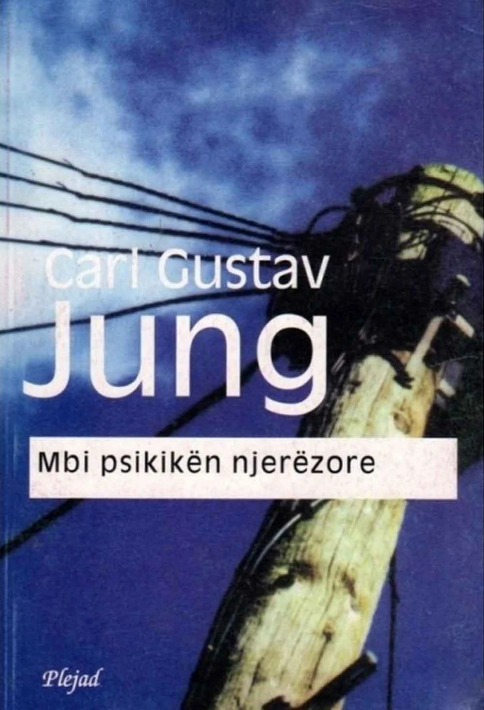 Mbi Psikiken Njerezore - Karl Jung