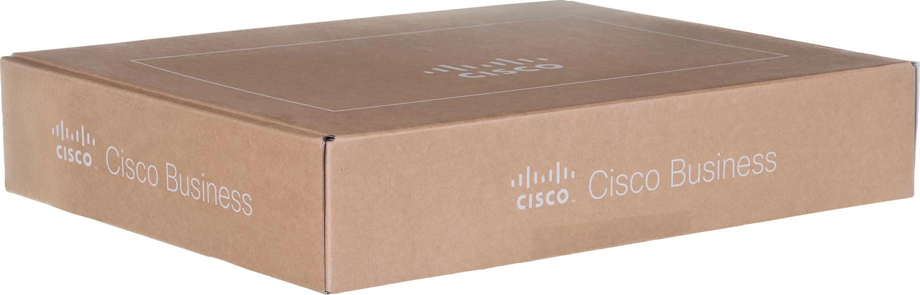 Cisco CBS220-24P-4G Ethernet i menaxhuar L2 Gigabit (10/100/1000) Fuqia mbi Ethernet (PoE) 1U Bardhë