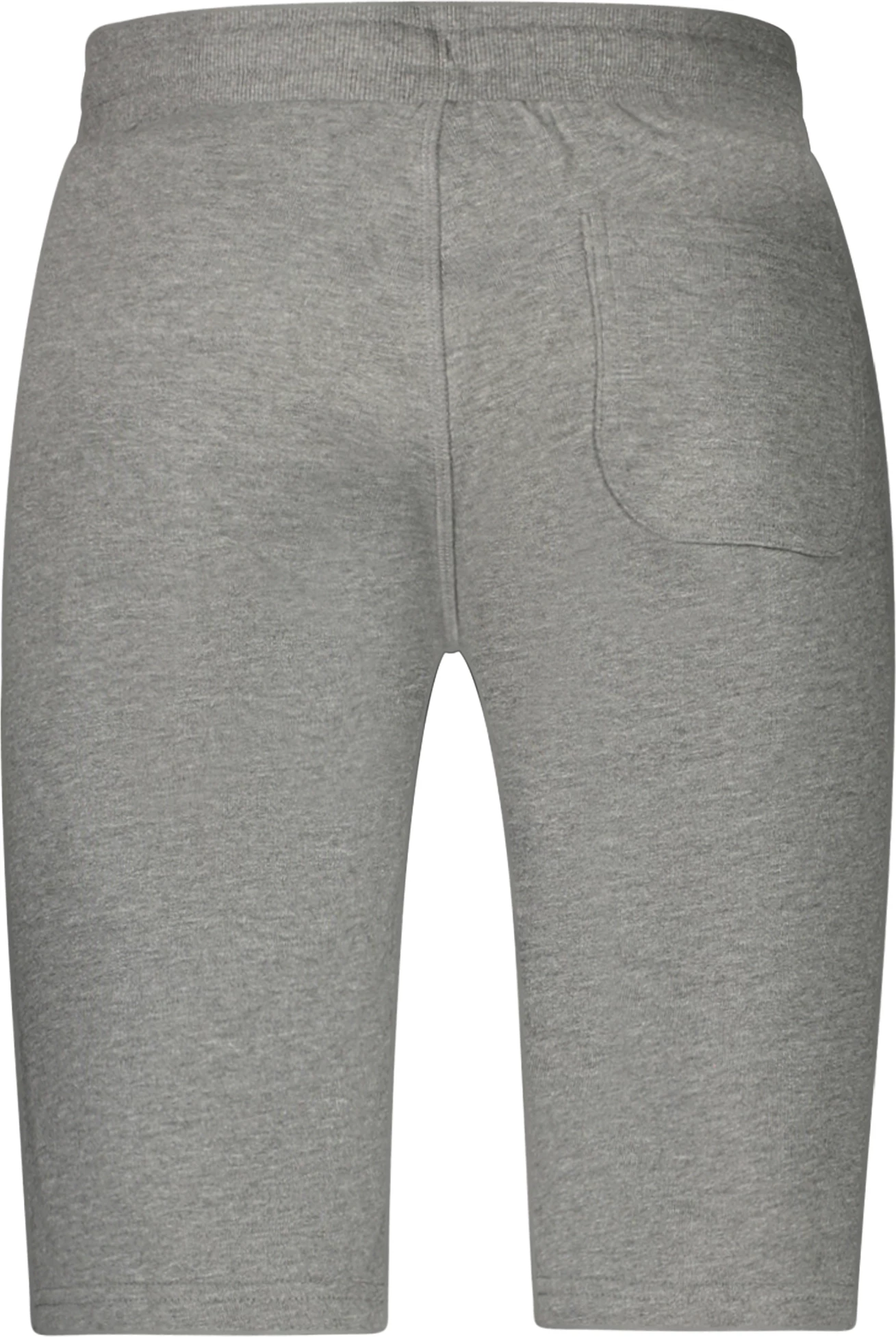 Shorce sportive për meshkuj North Sails, gri