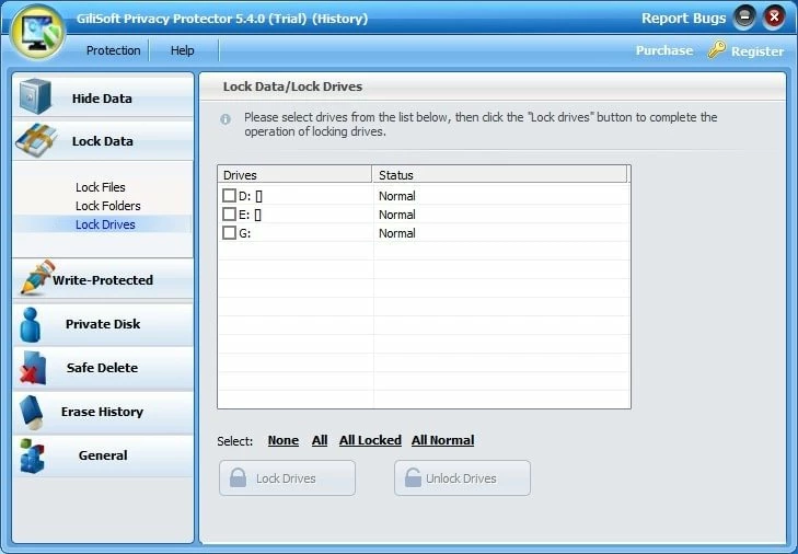 Gilisoft Privacy Protector EN Global