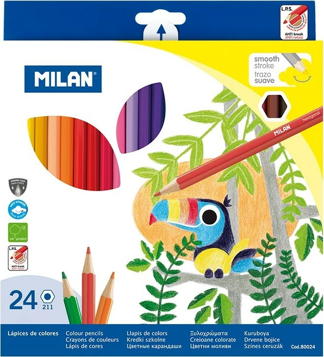 MILAN NGJYRA DRURI 1/24 80024