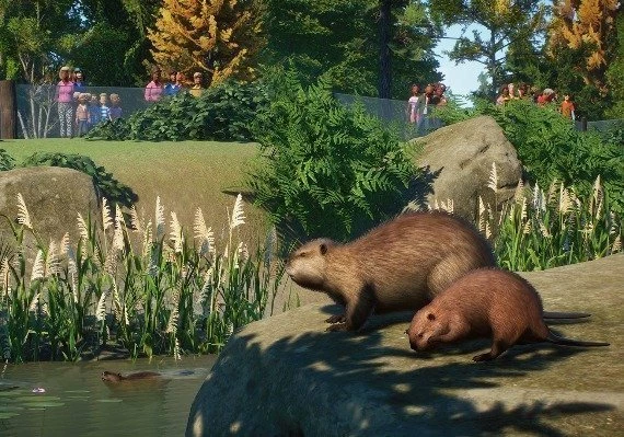 Planet Zoo - North America Animal Pack DLC Global