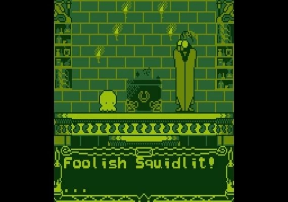 Squidlit EN Global