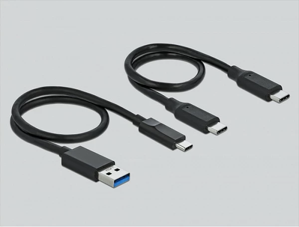 Lexues kartelash DeLOCK USB-C për CFast/SD me USB Hub, USB 3.2 Gen1, 5 Gbit/s, gri