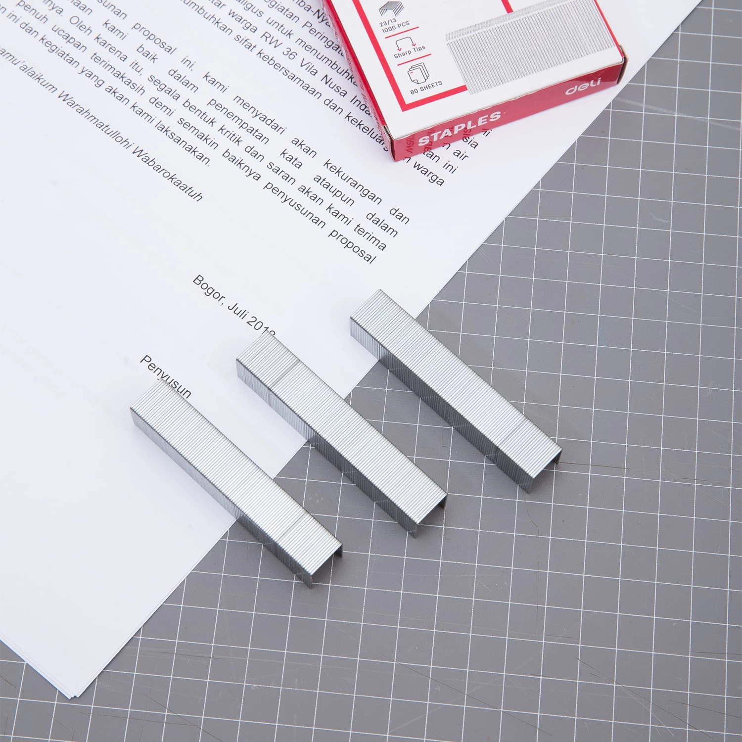 DELI MUNICION 23/13 0013 1/5