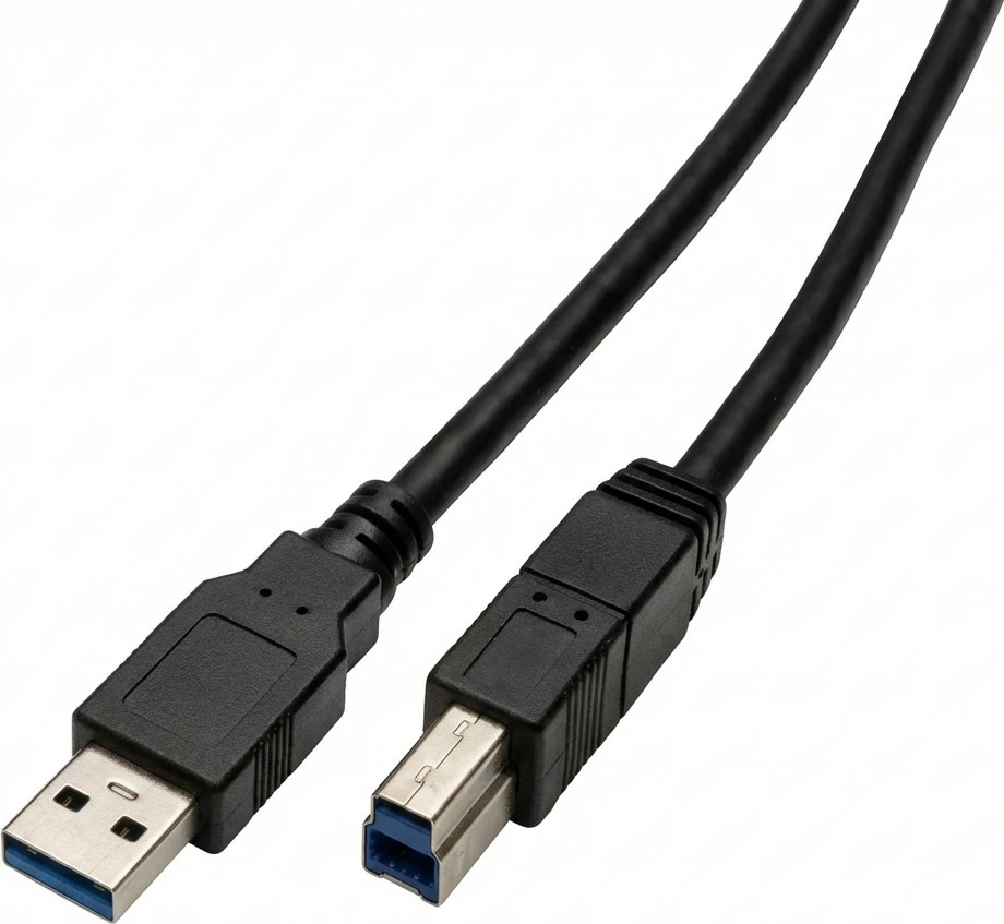 Kabllo USB Captiva USB-A në USB-B, 2 m, e zezë